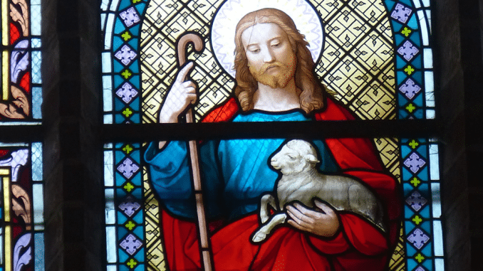 Bergen_Marienkirche_-_Fenster_2
