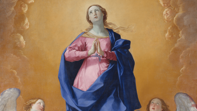 DT1138 assomption