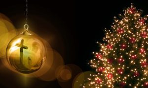 Non, le sapin de Noël n’est pas un arbre mort !